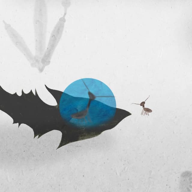 La Marche des fourmis